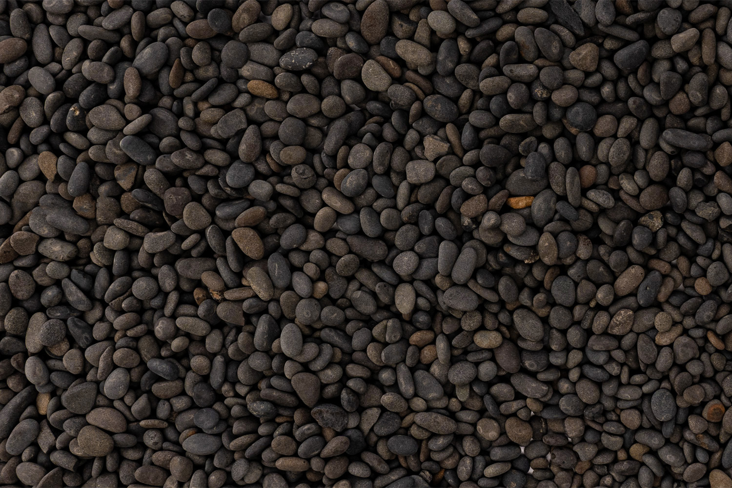 Nahaufnahme dunkler, glatter Kieselsteine